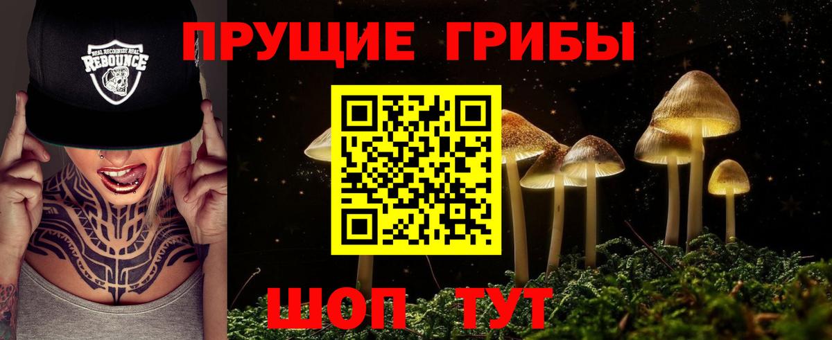 Сочи  Галлюциногенные грибы прущие грибы  Вход с VPN 