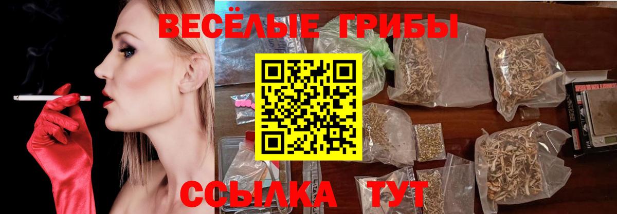 Псилоцибиновые грибы Psilocybine cubensis Сочи